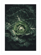Abondance - Art Print